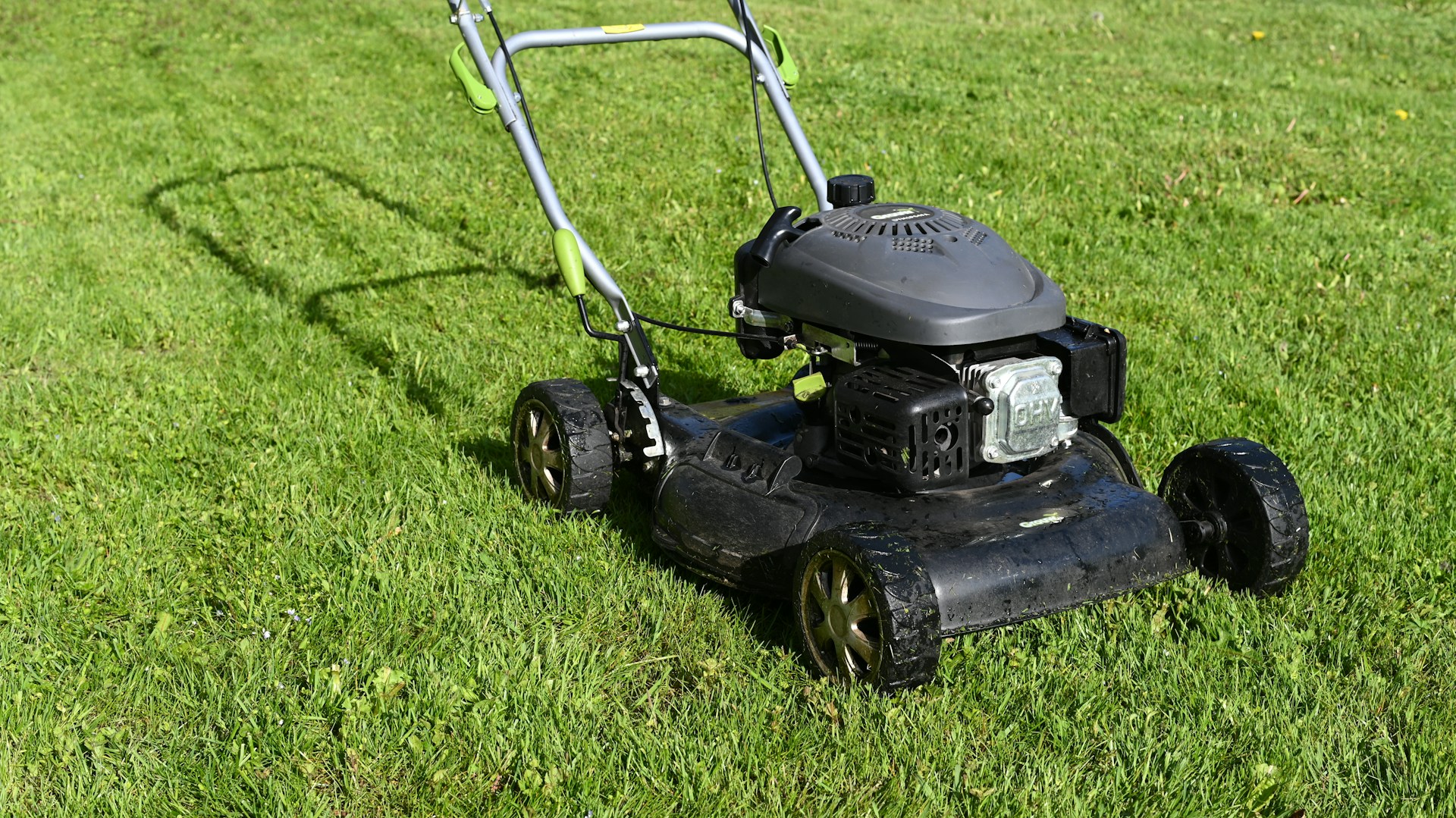 Basic Lawn Care Plan